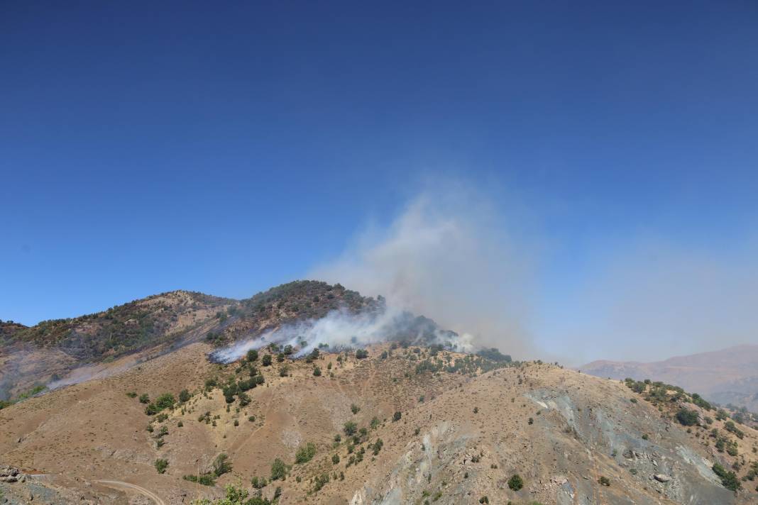 Adıyaman'daki yangınlarda 14 hektar alan zarar gördü 2
